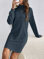 Ribbed Turtleneck Mini Jumper Dress with Long Sleeves