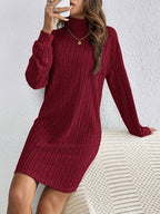 Ribbed Turtleneck Mini Jumper Dress with Long Sleeves