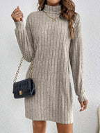 Ribbed Turtleneck Mini Jumper Dress with Long Sleeves