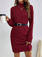 Ribbed Turtleneck Mini Jumper Dress with Long Sleeves